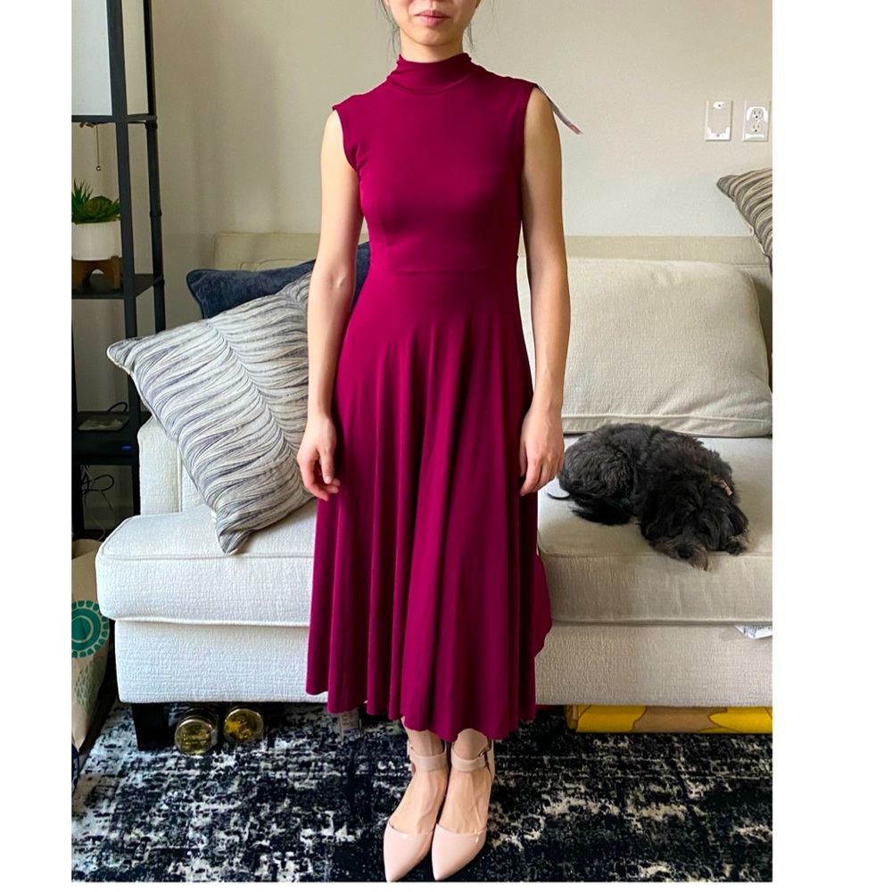 Zara red dress (small)